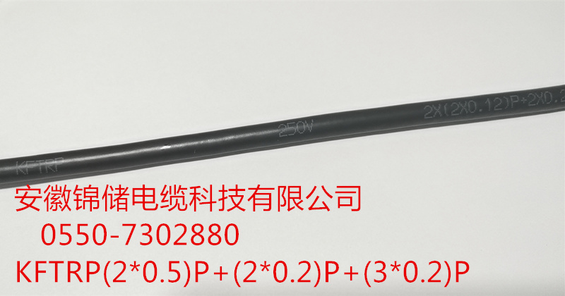 錦儲11.jpg